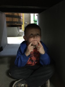 Ethan pondering a new Saison.